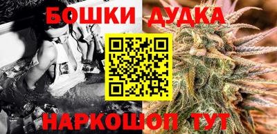 крисы Гатчина