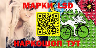 крисы Гатчина