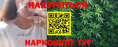 крисы Гатчина