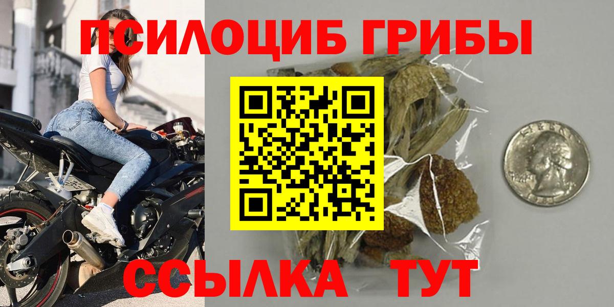 Галлюциногенные грибы MAGIC MUSHROOMS  Вход с VPN  Малгобек 