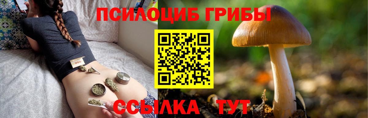 Псилоцибиновые грибы Psilocybine cubensis Малгобек